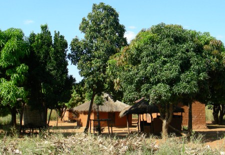Zambia